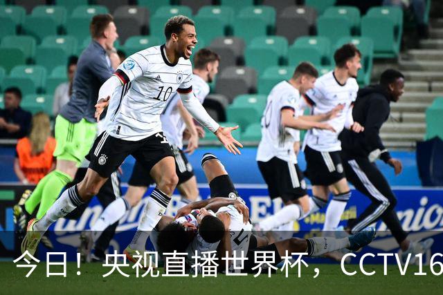 今日！央视直播世界杯，CCTV16转中超，网络转大连鲲城+可为+U17中国男篮+F1等